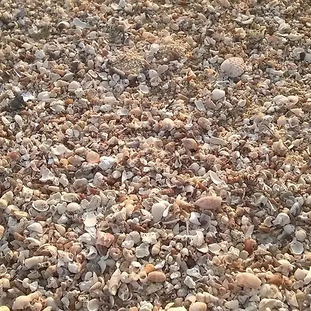 Casa Il Faro Deluxe * Porto Cesareo